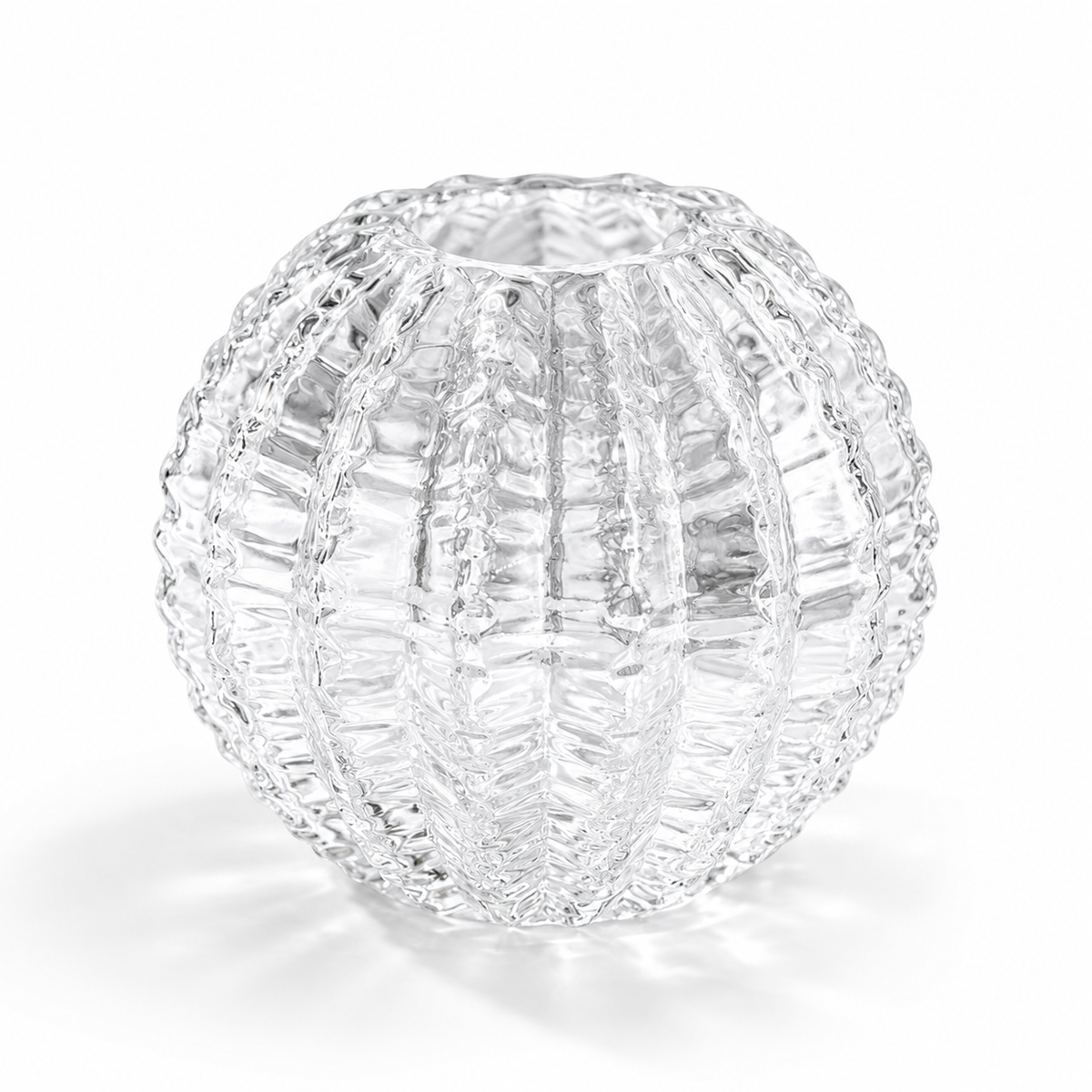 Transparent Cactus Glass Vase