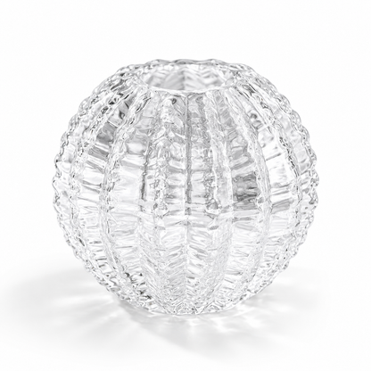 Transparent Cactus Glass Vase