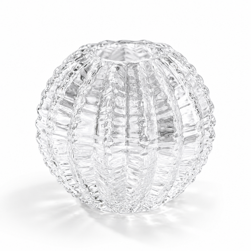 Transparent Cactus Glass Vase
